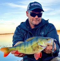 Fish Arrow Flash J Shad 4 inch PLUS SW Series