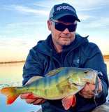 Fish Arrow Flash J Shad 4 inch PLUS SW Series