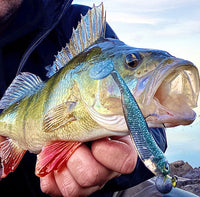 Fish Arrow Flash J Shad 4 inch PLUS SW Series