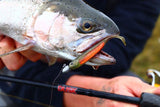 Fish Arrow Flash J Shad 3 inch
