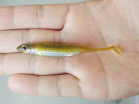 Fish Arrow Flash J Shad 3 inch