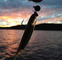 Fish Arrow Wheelhead jigheads