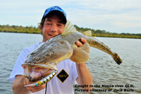 Pontoon 21 Crackjack 78SP DR