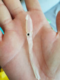 Fish Arrow Flash J Squid 3.5 inch SW Series