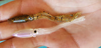 Fish Arrow Flash J Squid 3.5 inch SW Series
