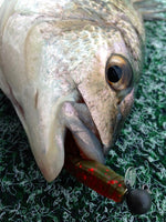 Fish Arrow Wheelhead jigheads