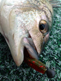 Fish Arrow Wheelhead jigheads