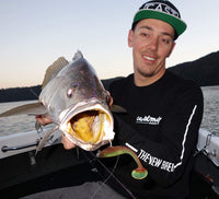 Fish Arrow Flash J Shad 4.5 inch SW Series