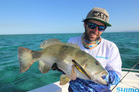 Pontoon 21 Greedy Guts 111MDR