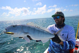 Pontoon 21 Greedy Guts 111MDR