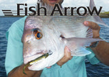 Fish Arrow Flash J Shad 3 inch