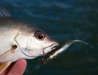 Fish Arrow Flash J 2 inch