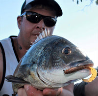 Pontoon 21 Pillo Grub 2 inch