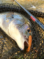 Pontoon 21 Pillo Grub 2 inch