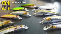 Pontoon 21 Cablista 75mm