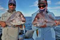 Damiki Trust Jigger Assist Hooks